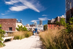 The High Line