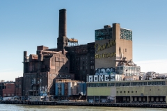 Domino Sugar